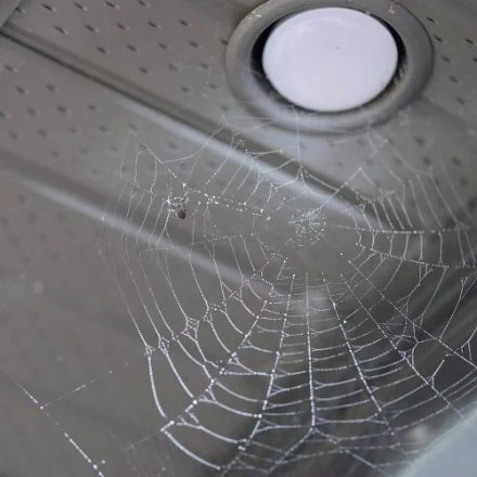 Addon Spider Web